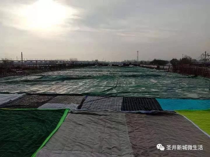 微信图片_20191204084841.jpg