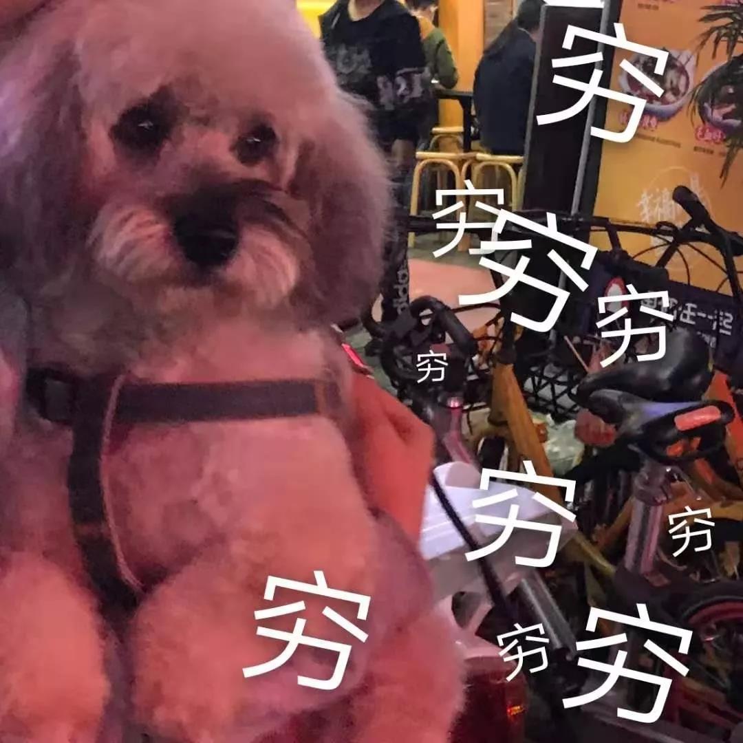 微信图片_20191213160252.jpg