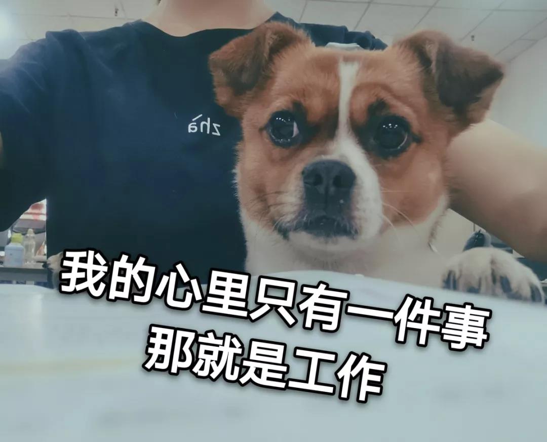 微信图片_20191213160258.jpg