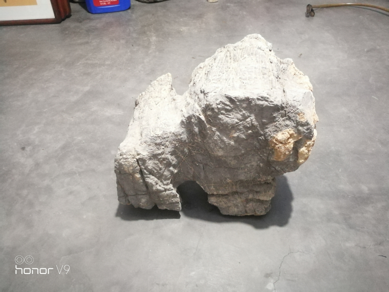 20191213_111720_1576233034237.jpg
