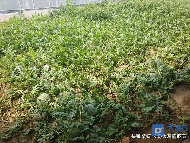 微信图片_20191217101909.jpg