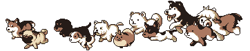 微信图片_20191219134403.gif