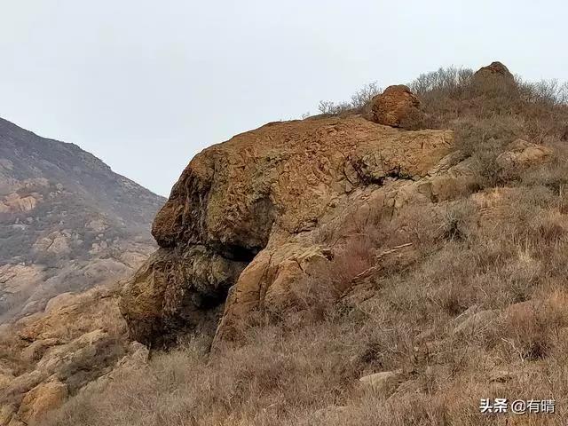 微信图片_20191220095344.jpg