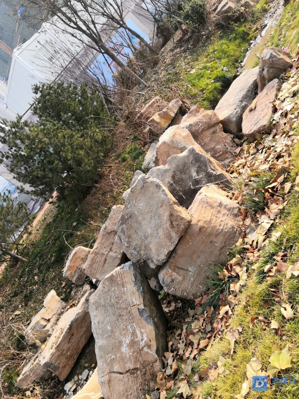 20191221_24338_1576902669470.jpg