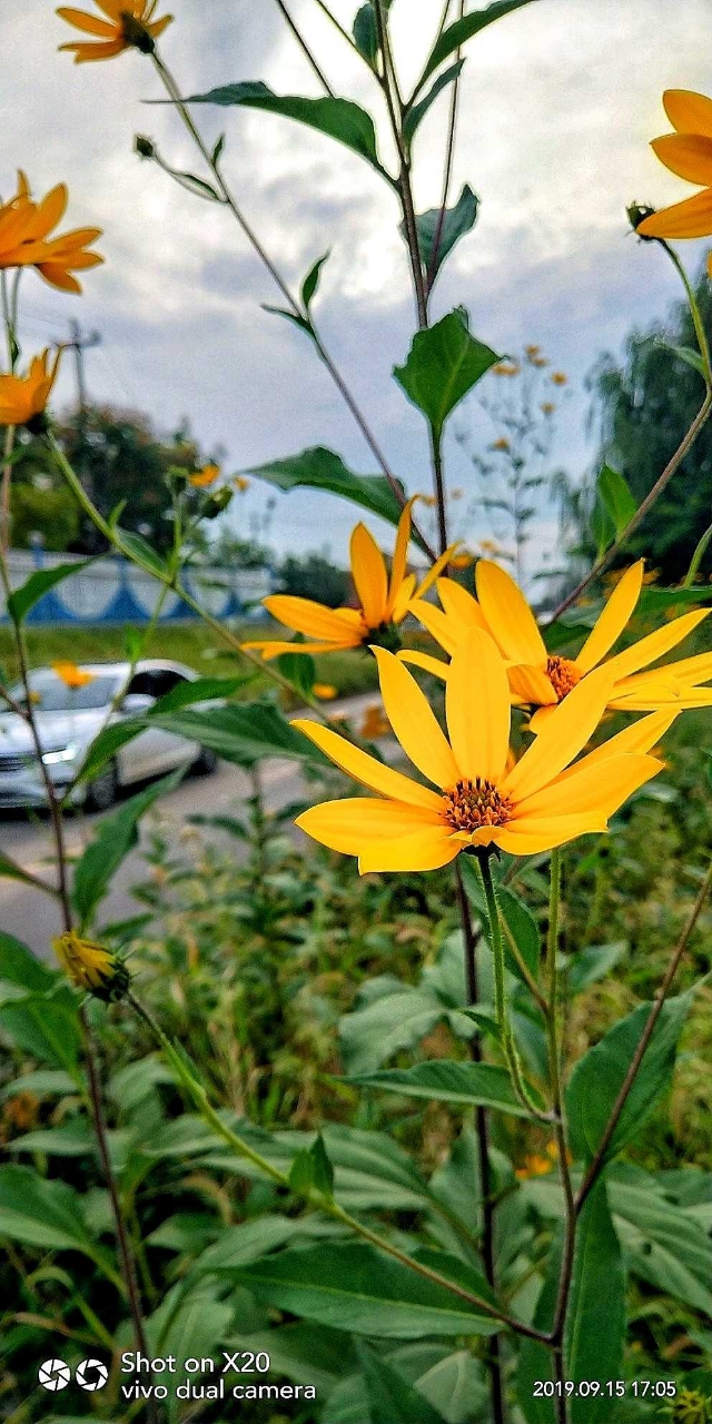 20191221_94008_1576930515615.jpg