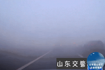 6.gif