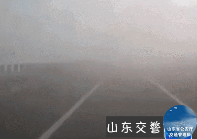 5.gif