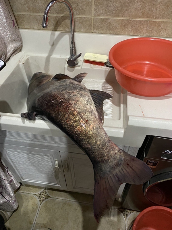 20191225_128067_1577240172235.jpg