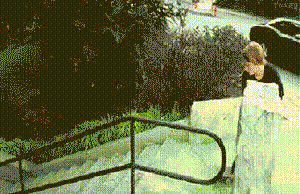 20191226_117888_1577355419238.gif