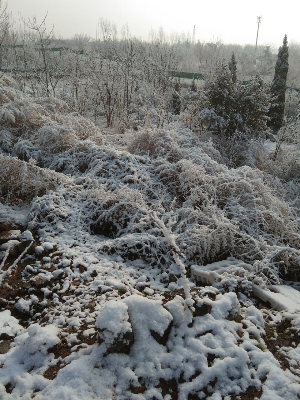 20191226_29140_1577375514102.jpg