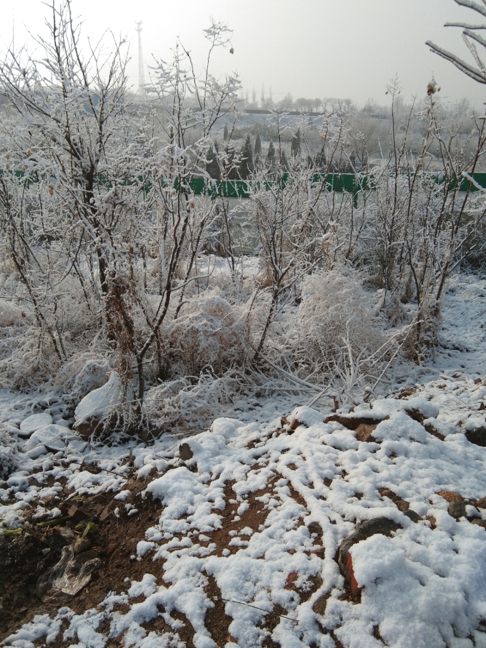 20191226_29140_1577375514715.jpg