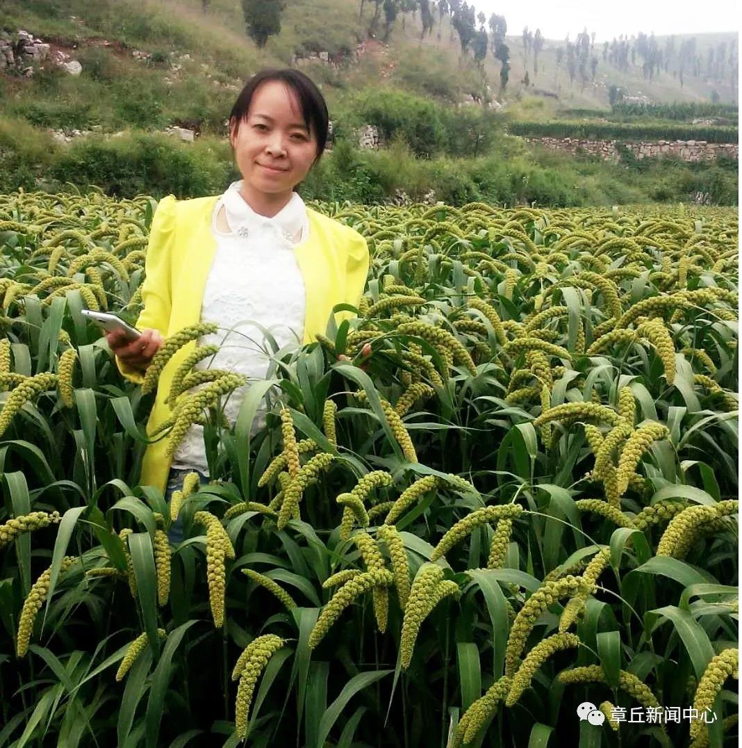 微信图片_20191227170044.jpg