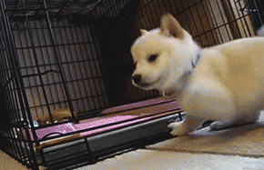 20191228_102615_1577532709711.gif