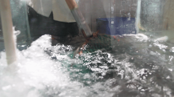 640 (4).gif