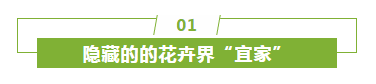 微信截图_20200114102901.png