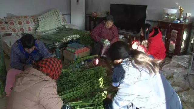 微信图片_20200118110746.jpg