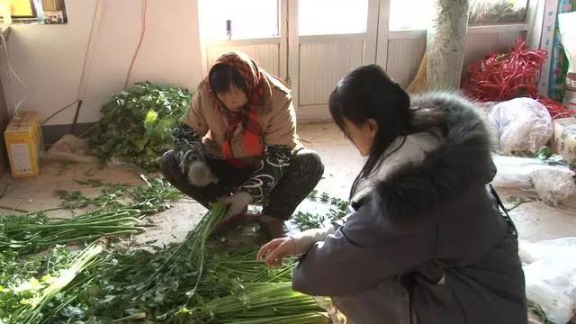 微信图片_20200118110753.jpg