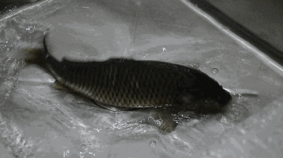 微信图片_20200122083040.gif