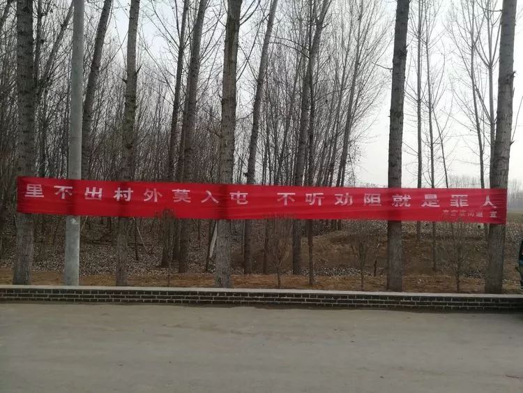微信图片_20200211101423.jpg