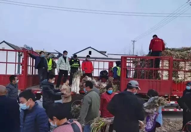 微信图片_20200213171256.jpg