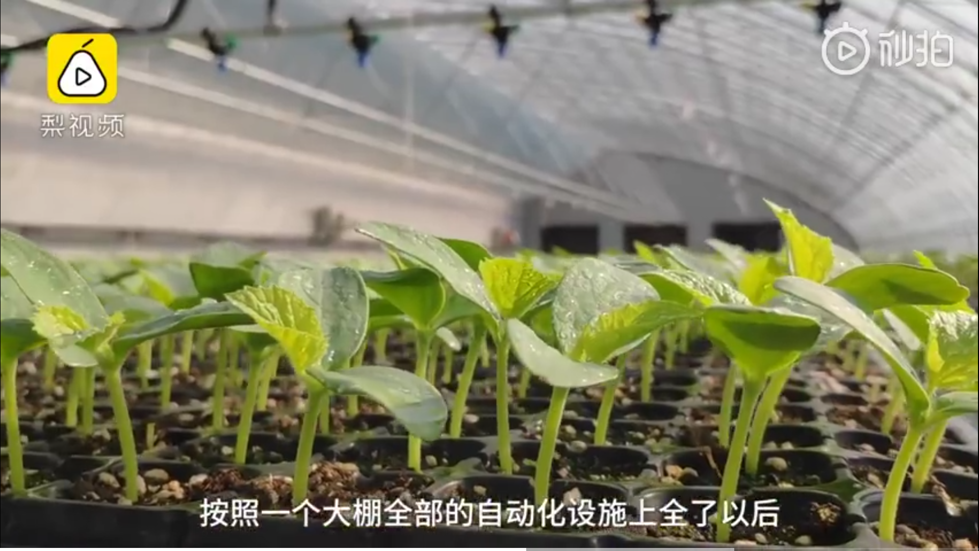 微信图片_20200225104114.png