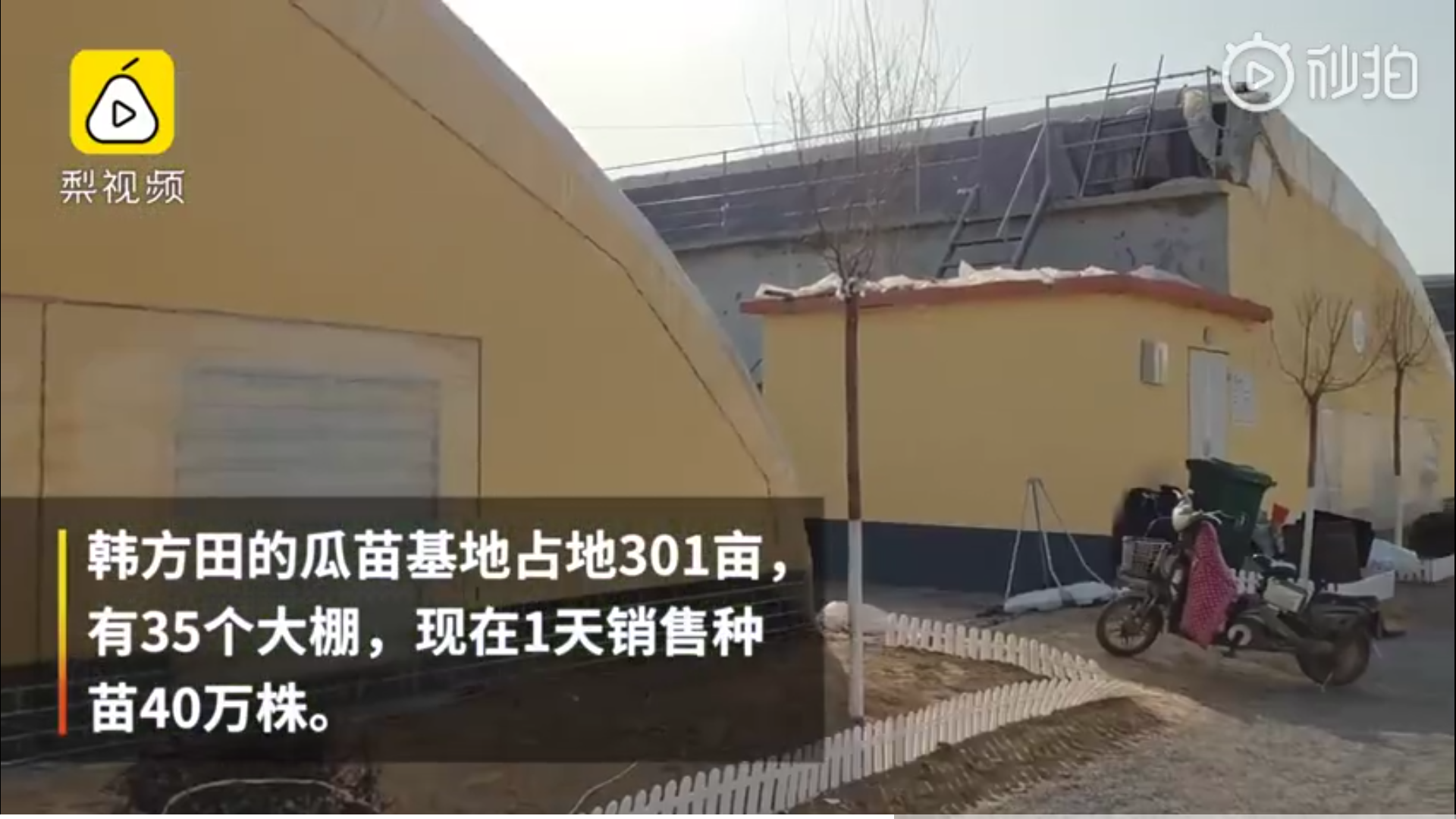 微信图片_20200225104118.png