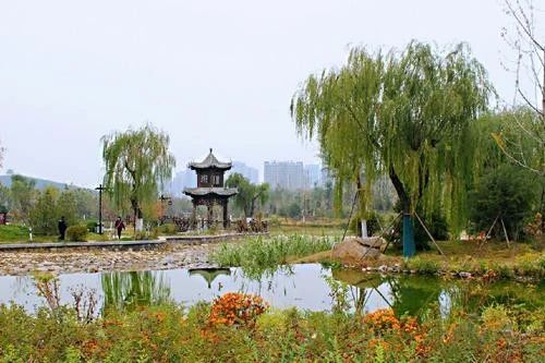 微信图片_20200303081920.jpg