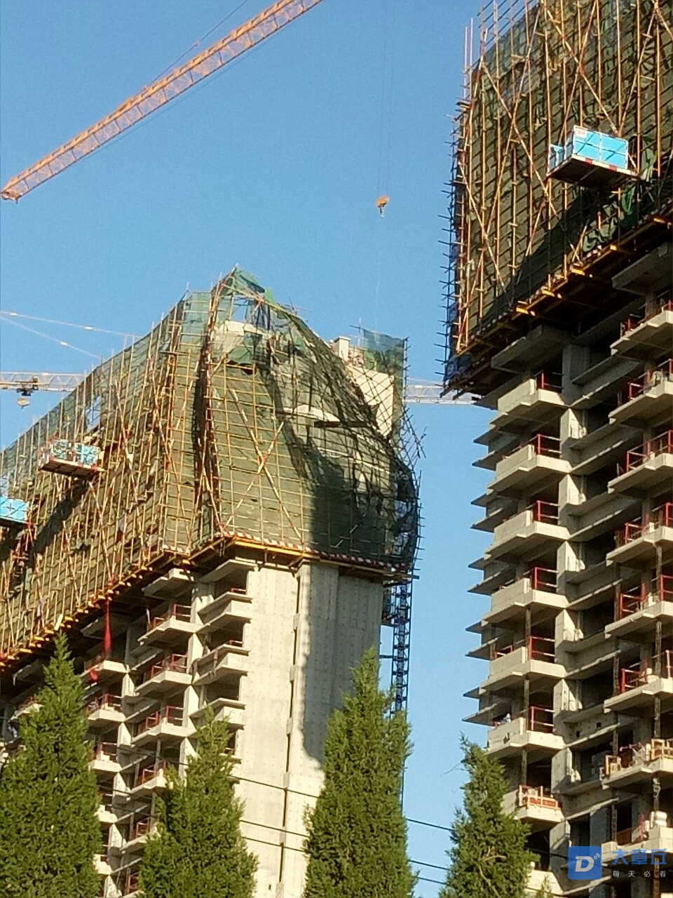 20200319_11340_1584575573180.jpg