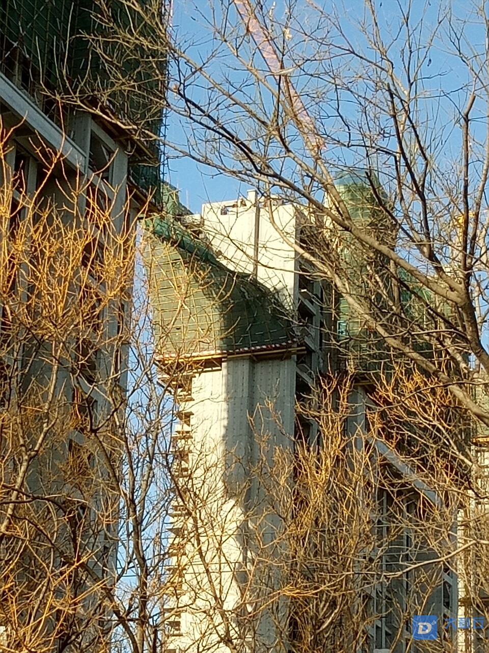 20200319_11340_1584575573708.jpg