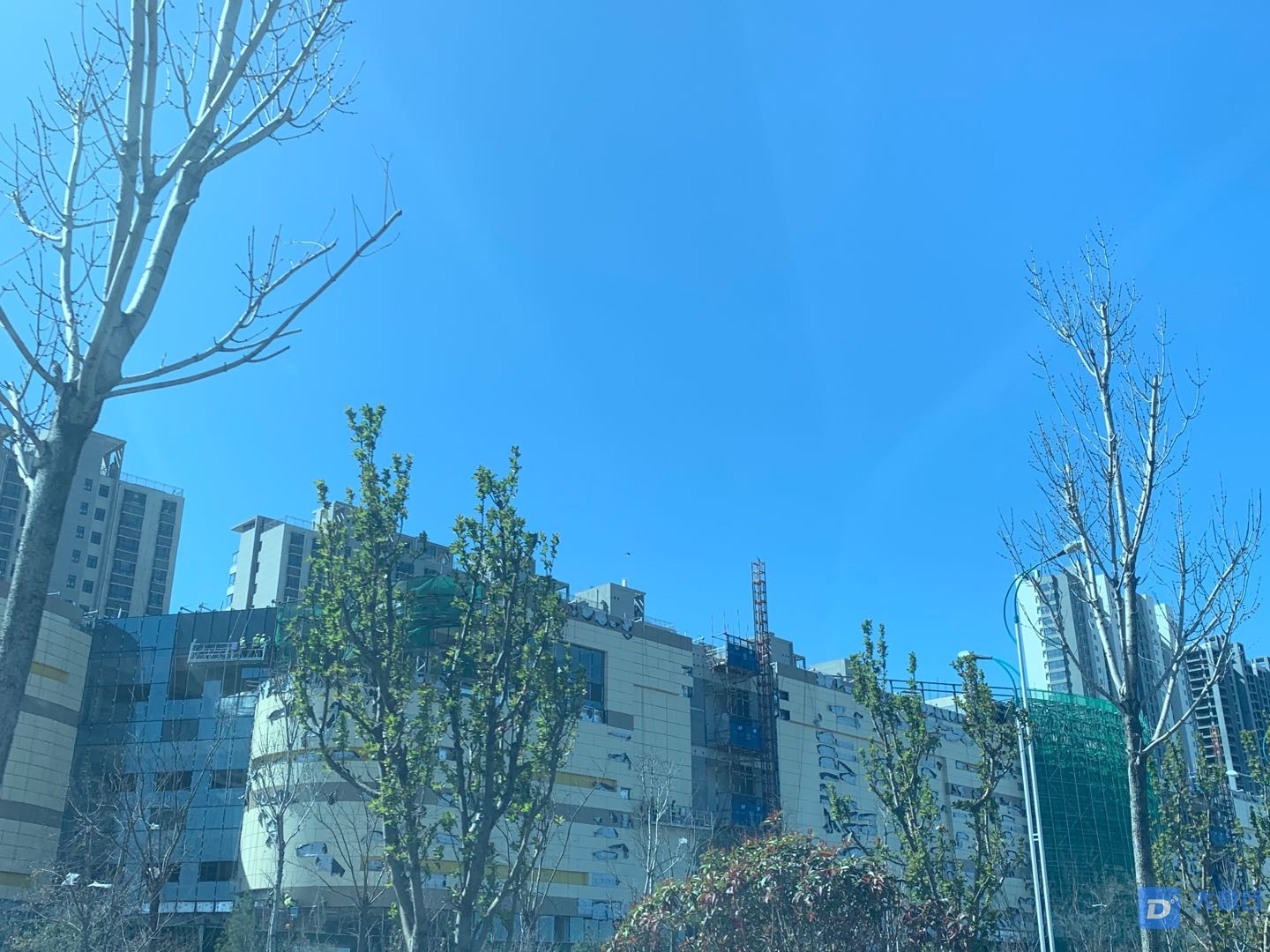 微信图片_20200319135004.jpg