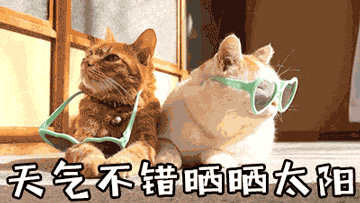 193918xozc8z1hb8r1c5dj.gif
