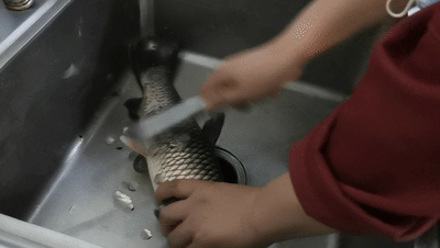 095411yzuaja8ct8h4tvs1.gif