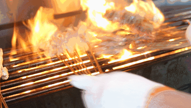 133458x1rcpecypub31ion.gif