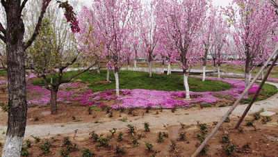 135205b8qql9qqg5588k8i.gif