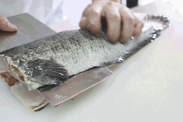 132903zy9x9rzv7id4yr7y.gif