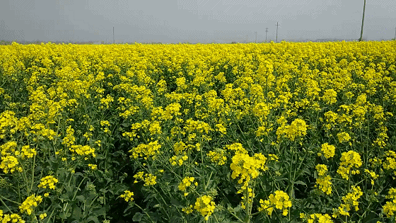 134134ojyi9hk6abype27t.gif