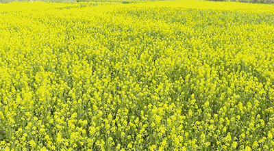 134134v9r4pspevpy9vpwn.gif