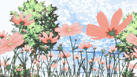 640.gif