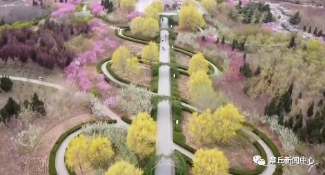 微信图片_20200406165112.png