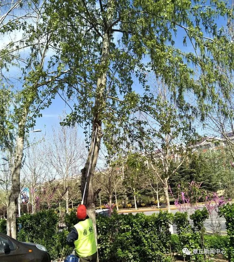微信图片_20200406165116.jpg
