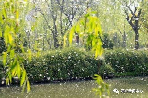 微信图片_20200406165144.jpg