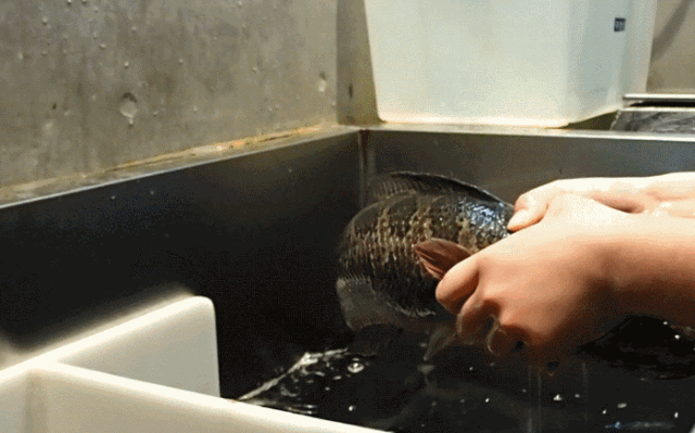 112357jynw4y6yvsymneun.gif
