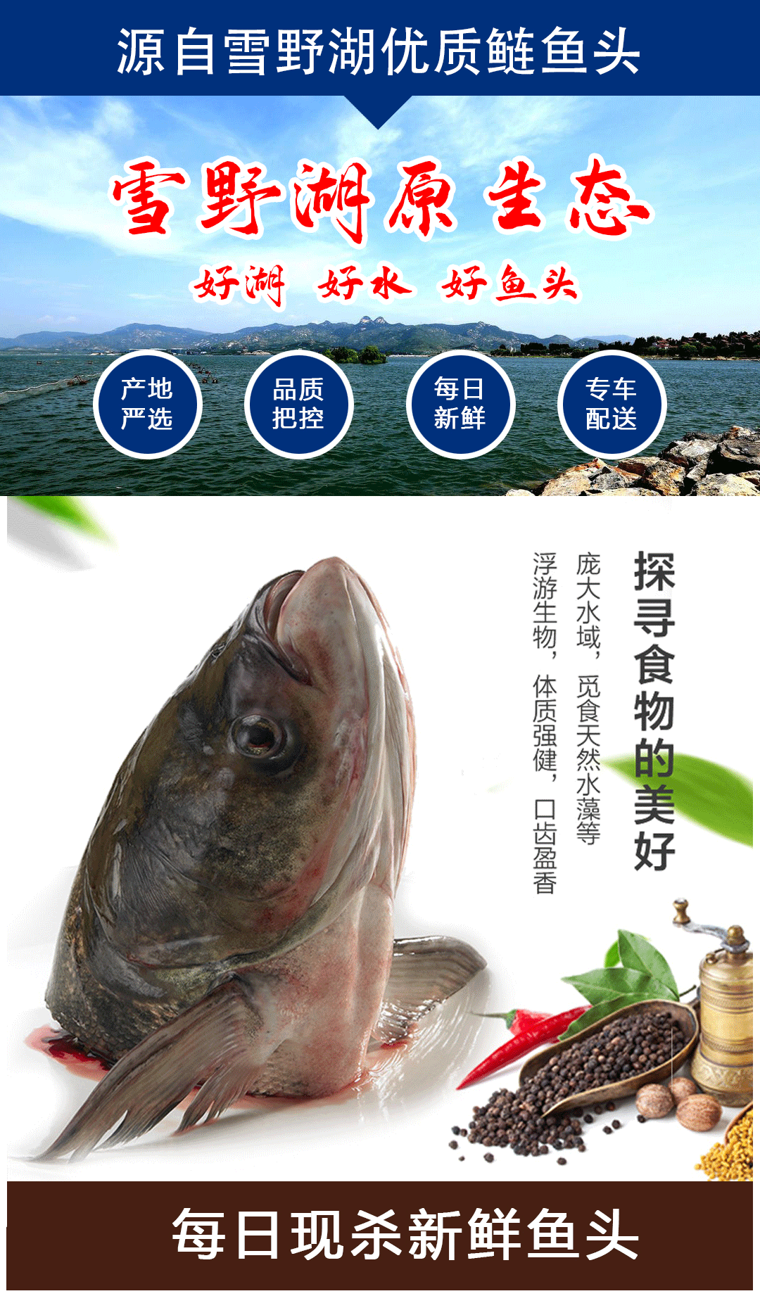 154716utuzu4fub3w64dpu.png