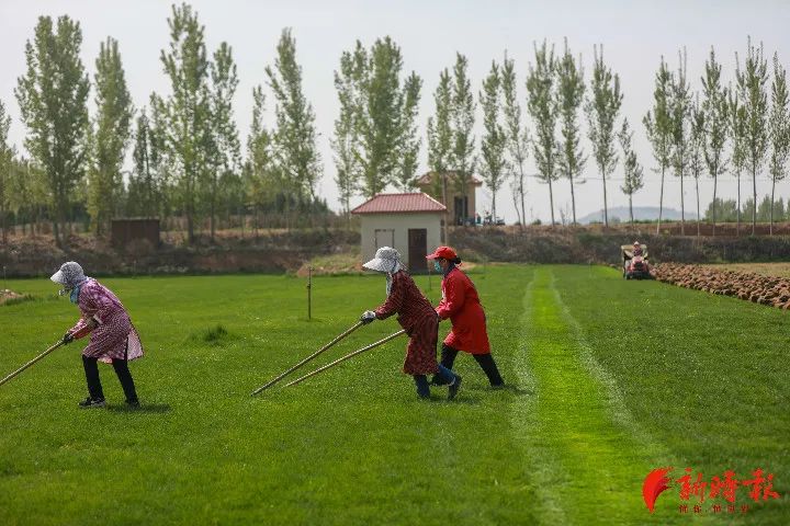 微信图片_20200421092631.jpg