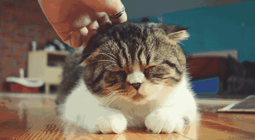 134604w1umu74llvo2fljo.gif