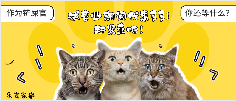 134604yl2yhzf7w2nyf7ob.png