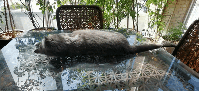 134605i0bczjy2pcwwsp03.gif