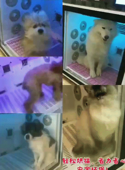 134607gu4a6cde44ezixu4.gif