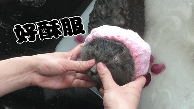 134607klggoomyobbjw2cw.gif