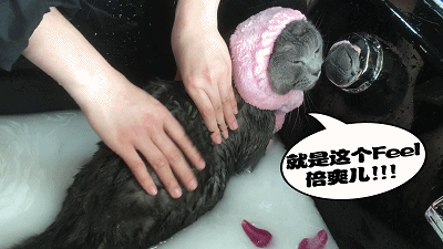 134607vc6e6rzqie6ecnec.gif